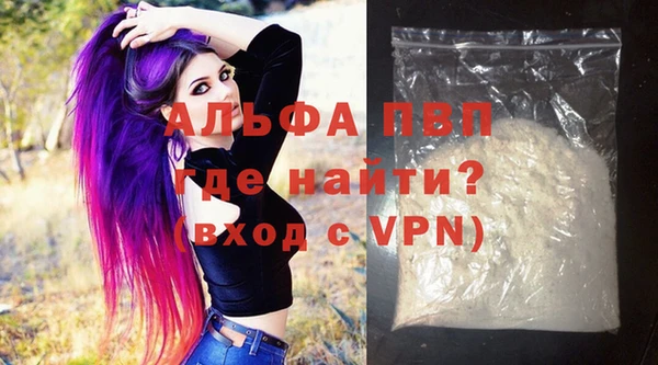 ПСИЛОЦИБИНОВЫЕ ГРИБЫ Осташков