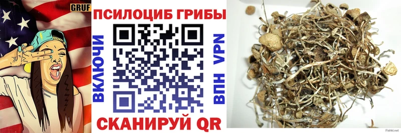 Галлюциногенные грибы Cubensis  Дюртюли 