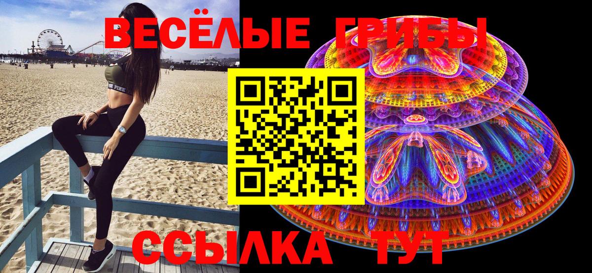 Псилоцибиновые грибы GOLDEN TEACHER  Вход с VPN  Псилоцибиновые грибы Magic Shrooms  Дюртюли 